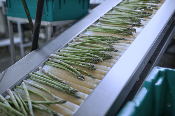 Industrie alimentaire